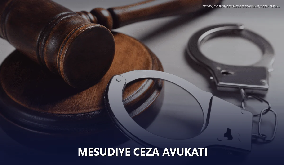 Mesudiye Ceza Avukatı